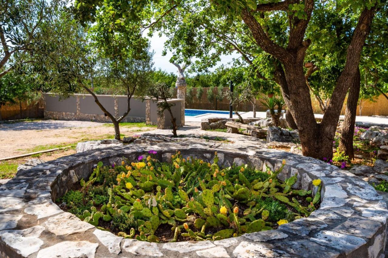 בנקובאץ Villa Eagle מראה חיצוני תמונה