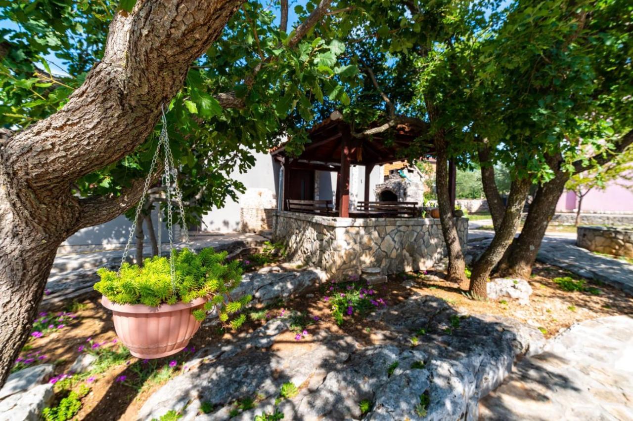 בנקובאץ Villa Eagle מראה חיצוני תמונה