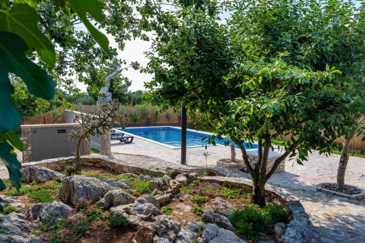 בנקובאץ Villa Eagle מראה חיצוני תמונה